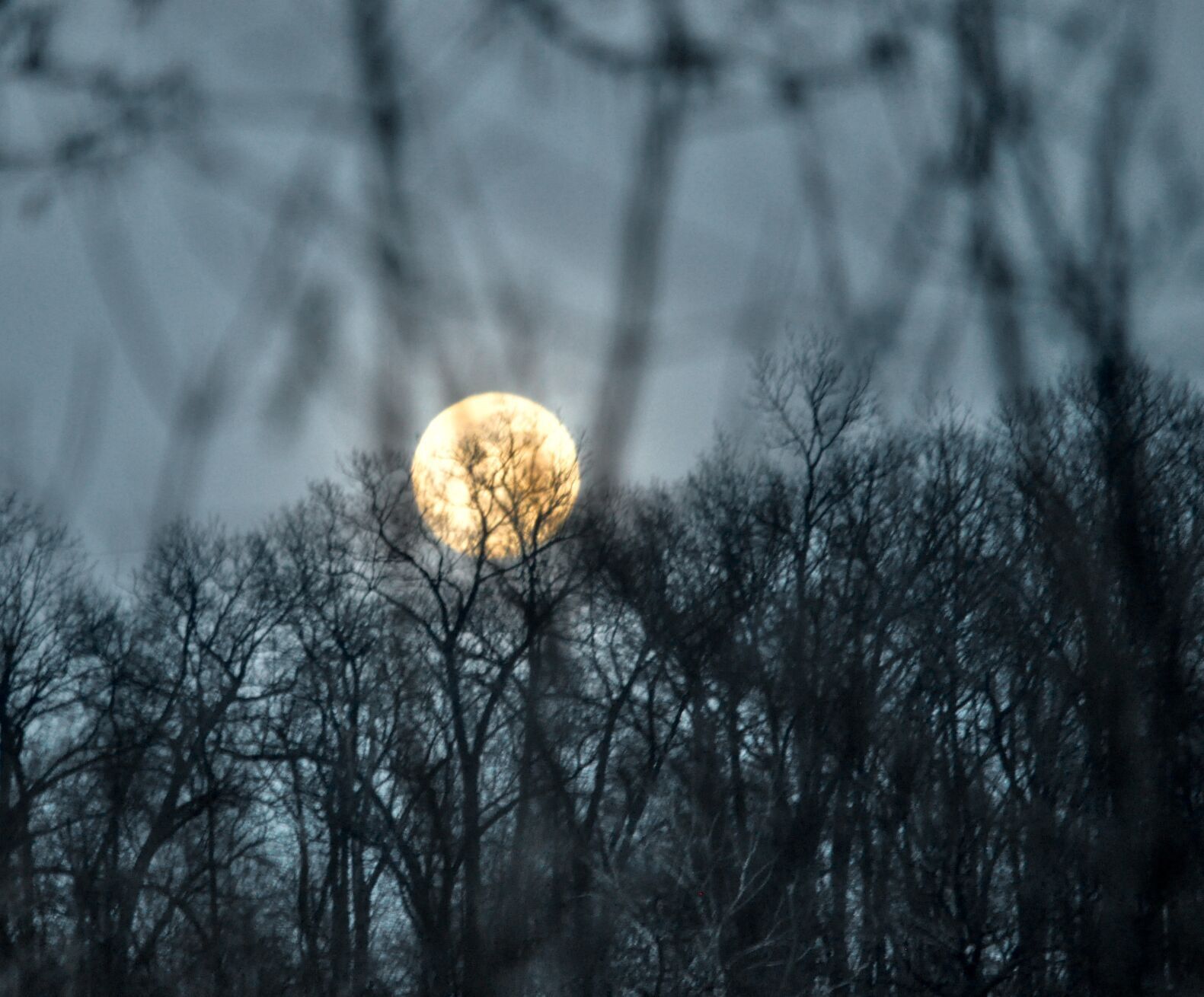 Moon shine